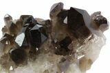 Dark Smoky Quartz Crystal Cluster - Brazil #84828-2